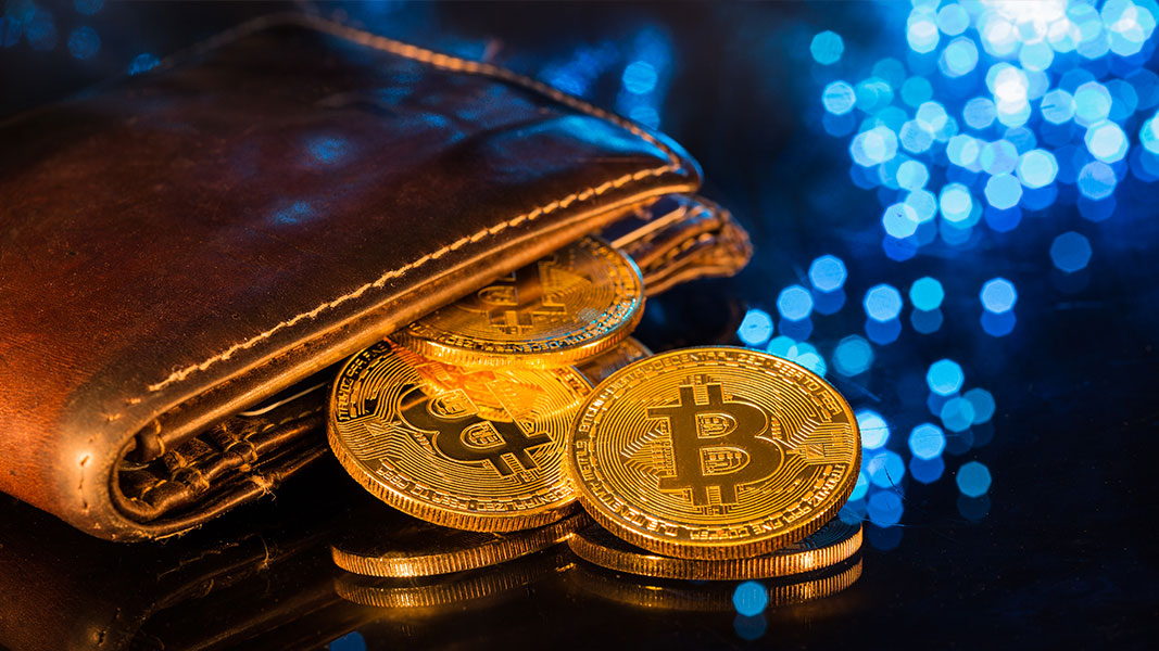Best Hardware wallets store your precious Bitcoin